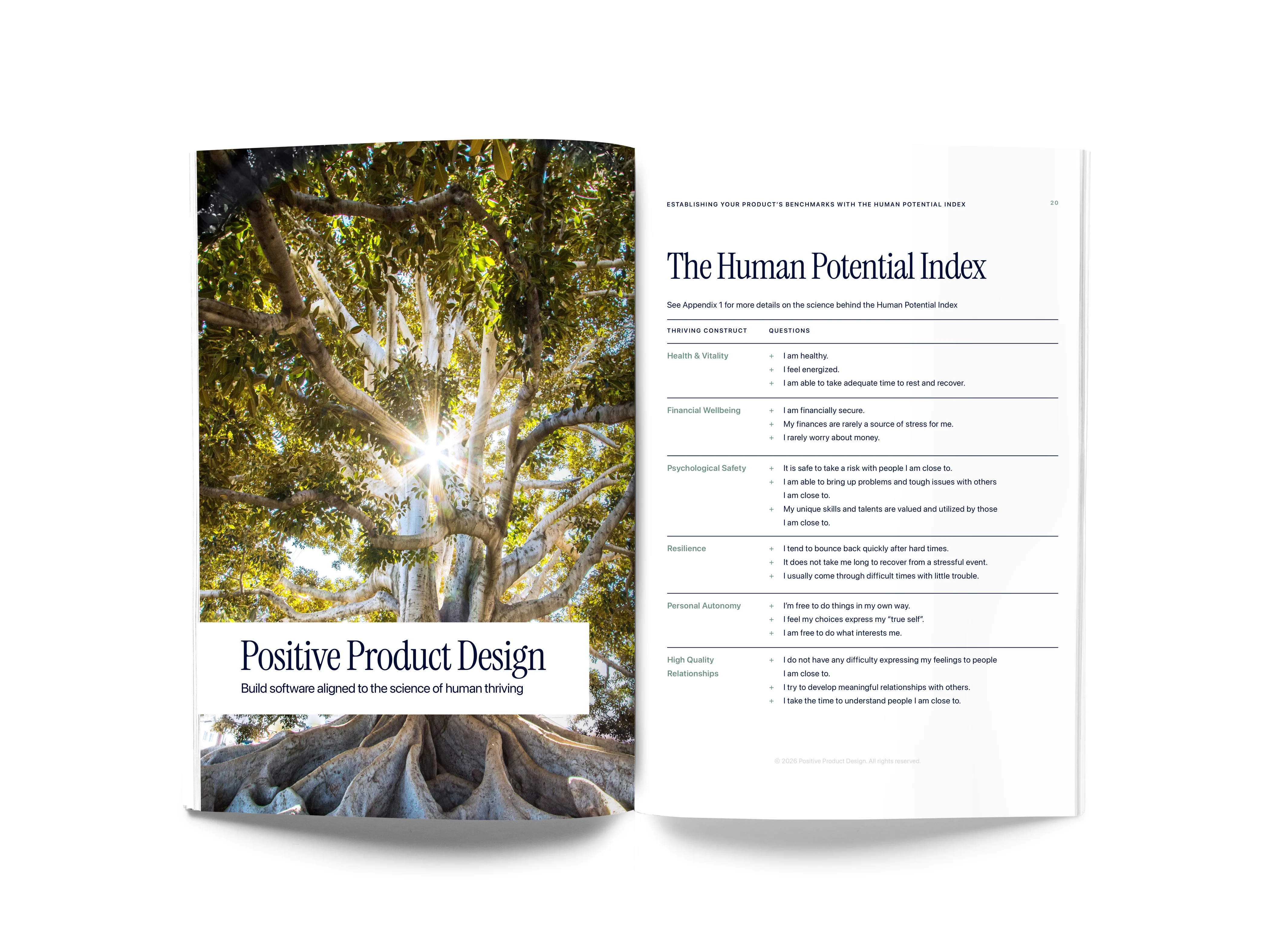 Positive Product Design Guide